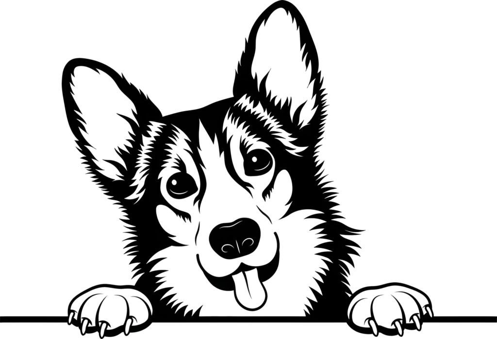 D84d25f9 951d 40c2 9cf9 72bc8671060b