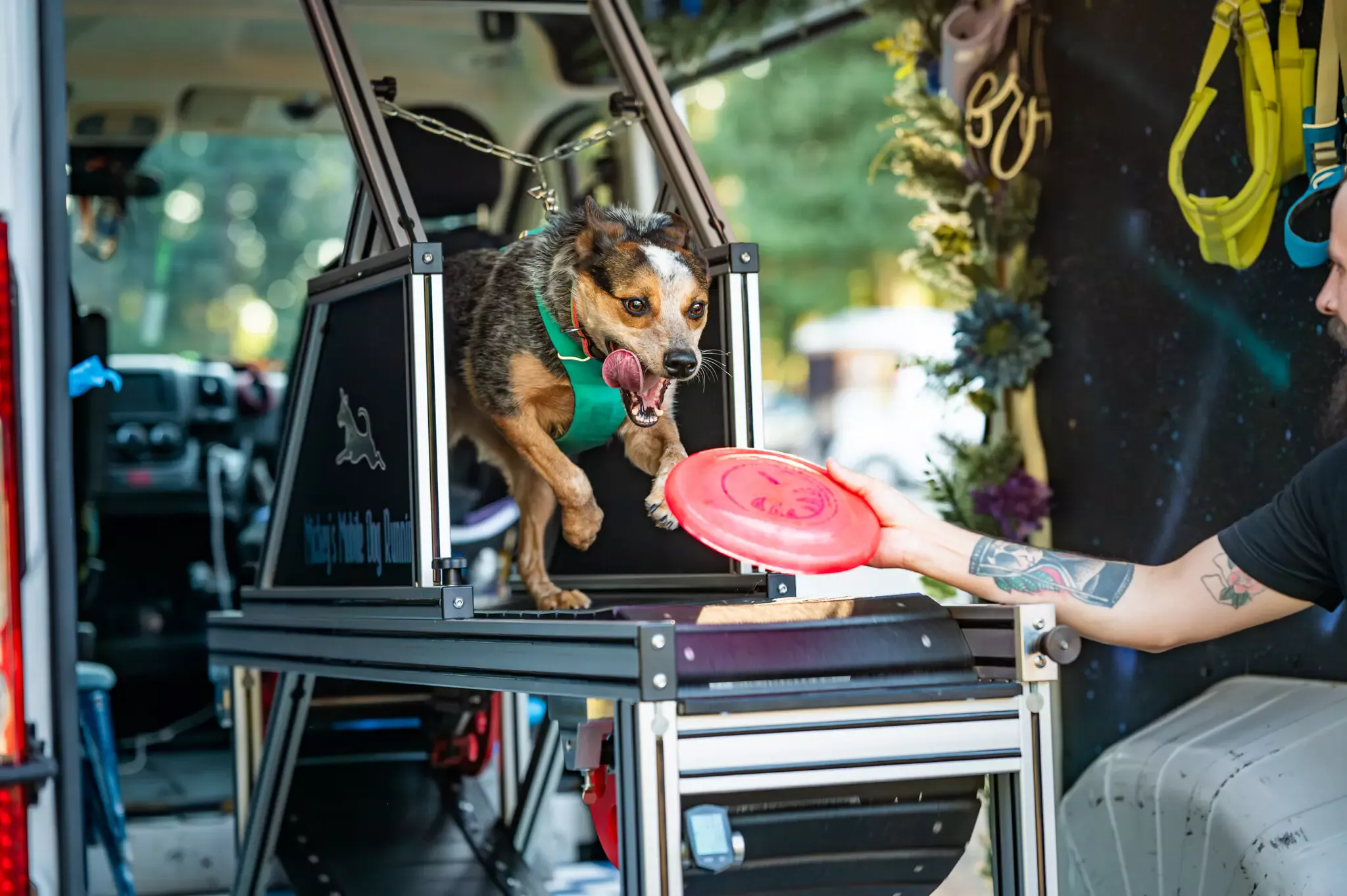 Mickeys_mobile_dog_running_web-1