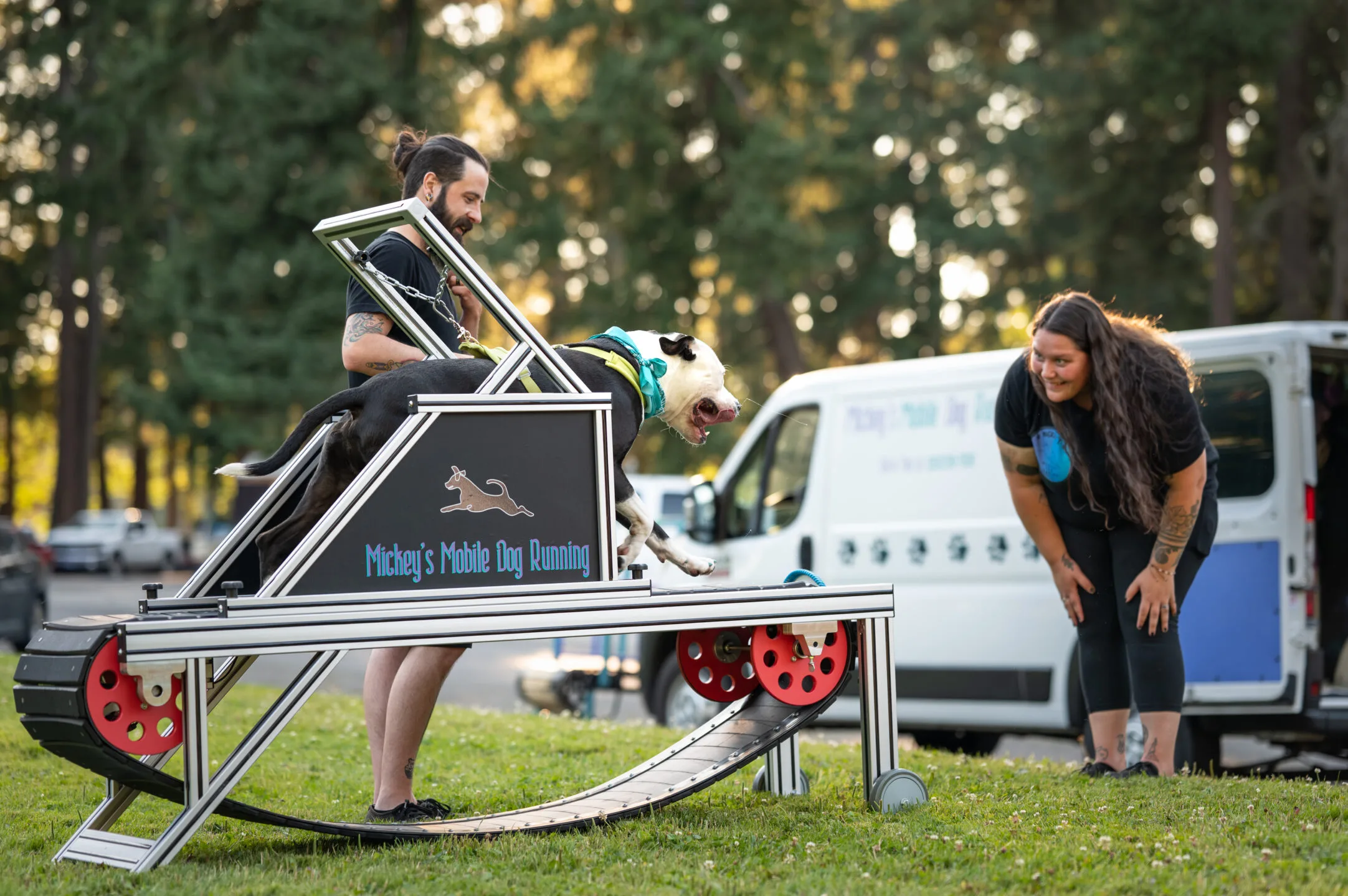 8acbe23b 96ef 4018 B1bc 3bc2a8ed3b8b